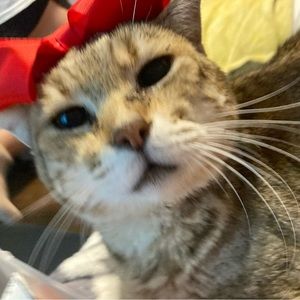 Meet your Posher, Jay